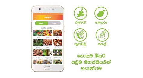 geogoviya login|geo goviya.